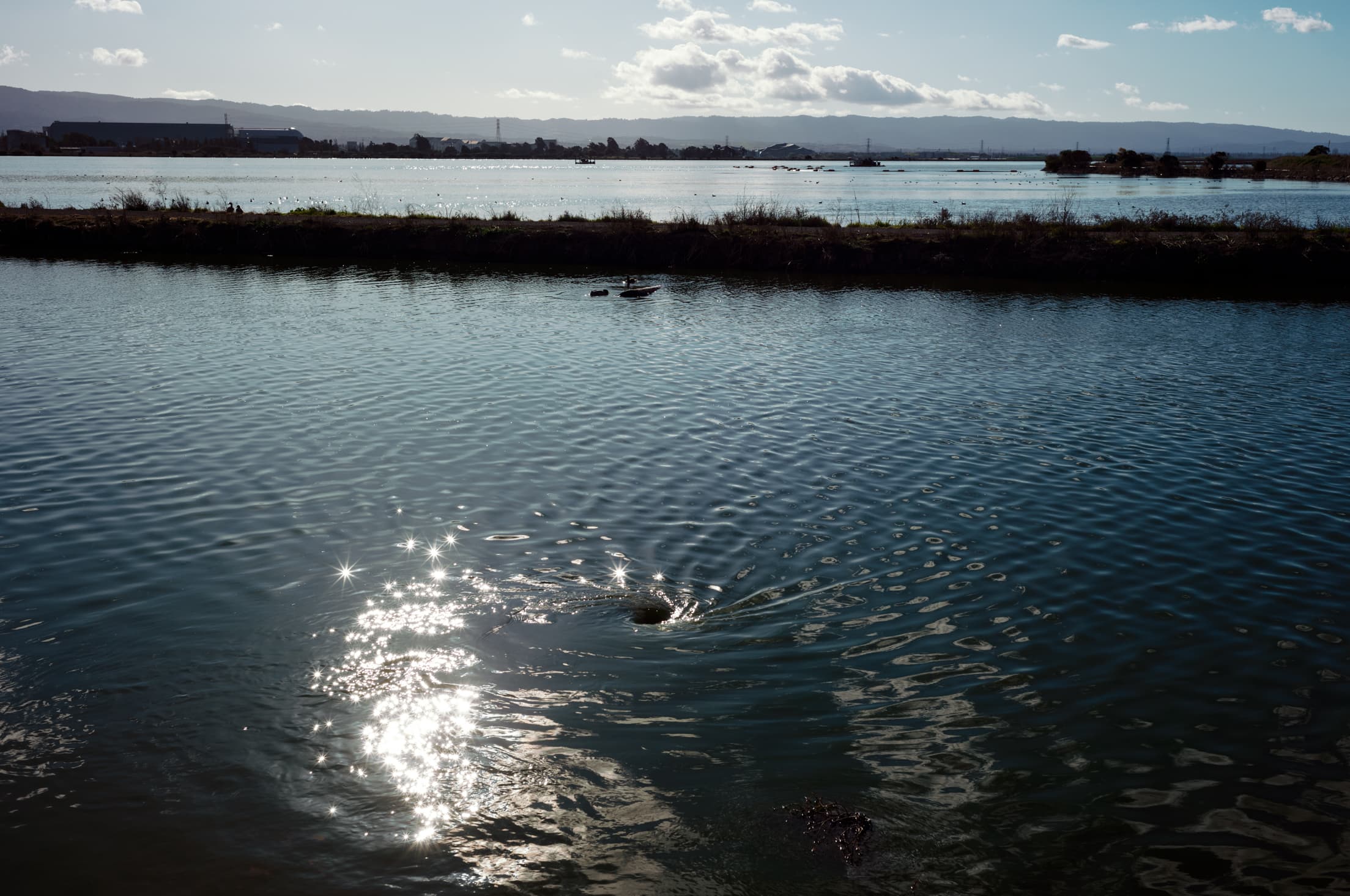 L10018492025-2.jpg
